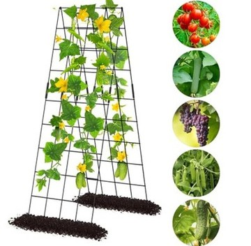 Plant Support